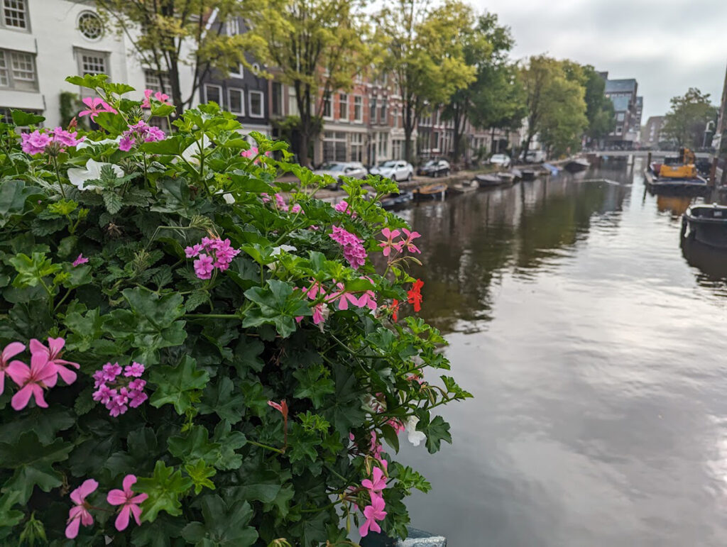 Flowers on a Canal Bridge