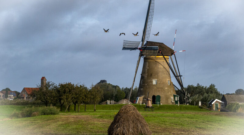 Windmill with Geese and Haystack