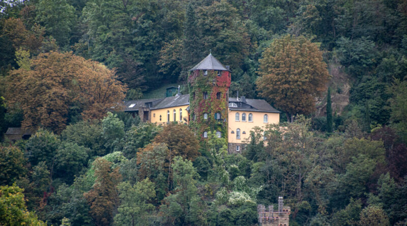 Ivy covered Tower