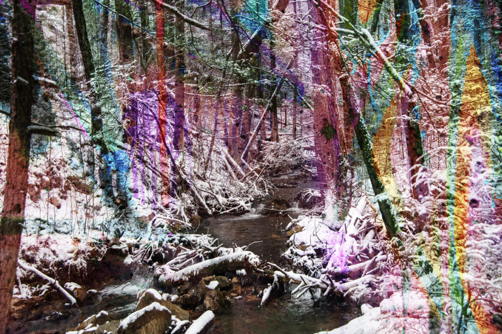 02-Splashes of Winter Color copy • Layered Composite Photograph