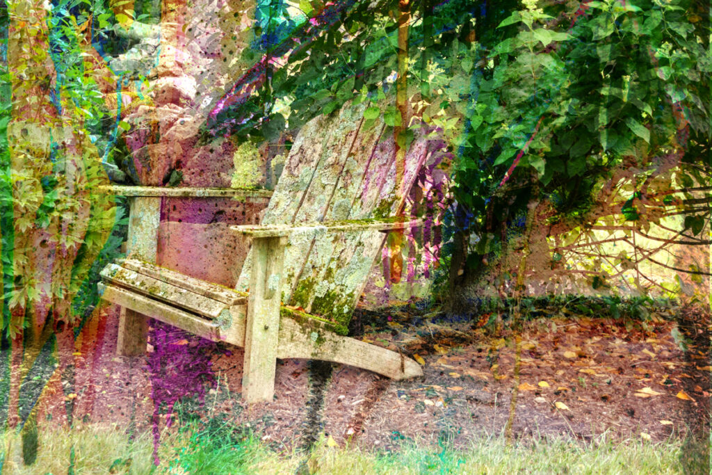 06 Splashes of Summer Color • Lichen-covered Adirondack Chair • Layered Composite Photograph