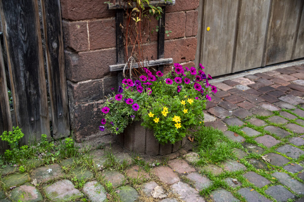 Flower Box