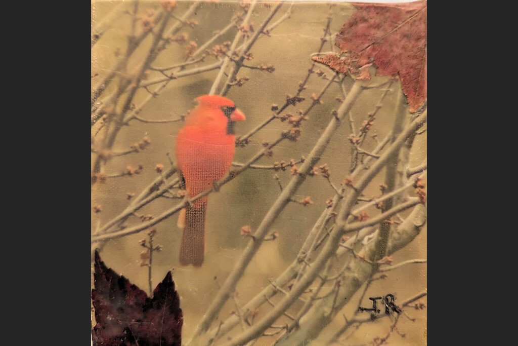Perched in a Red Maple II • Encaustic Collage 5 x 5 Cradle board