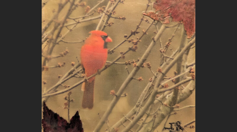 Perched in a Red Maple II • Encaustic Collage 5 x 5 Cradle board