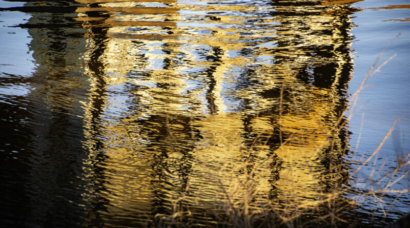 Charles River Reflections