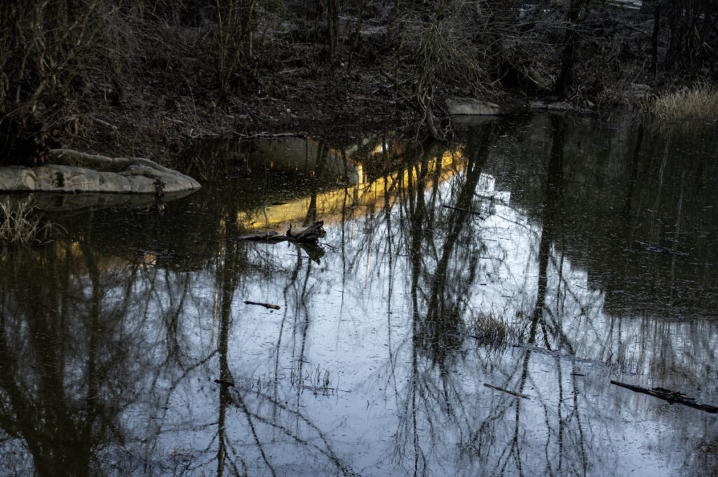 Backwater Reflections