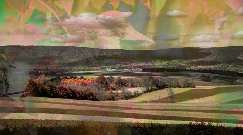 Autumn Panorama • Scenic Berks County farm in the foothills of the Blue Mountain. Overlaid with texture of Sweet Gum leaves.