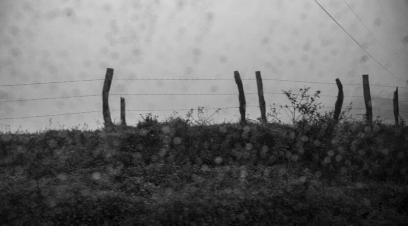 rainy day ride to monteverde - fence posts